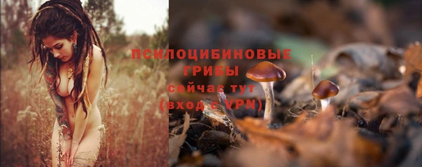 соль ск Киреевск