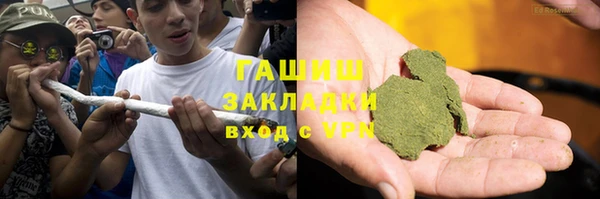 сатива Карпинск